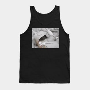 Dark eyed Junco Tank Top